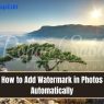 How to add watermark to photos