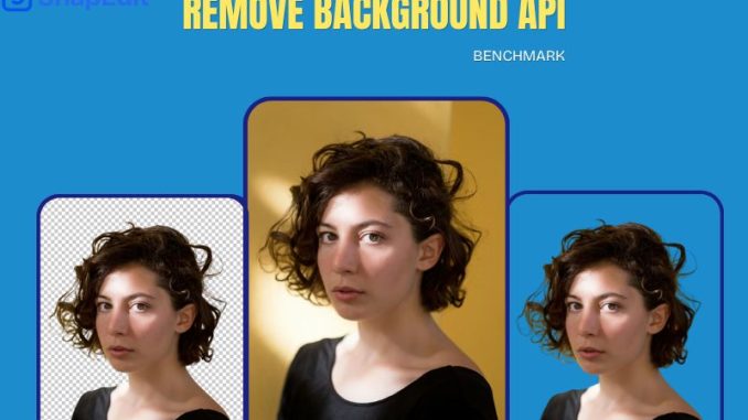 snapedit-best-remove-background-api-comparison